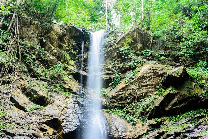 Trinidad Rainforest Hike to Waterfall - What $115 buys you
