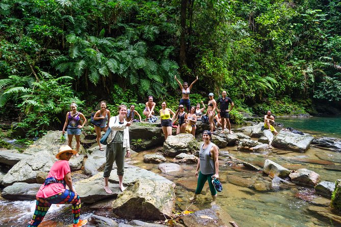 Trinidad Rainforest Hike to Waterfall - The guides are the make-or-break feature