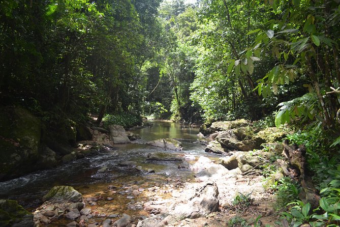 Trinidad Rainforest Hike to Waterfall - Swimming, drying off, and changing clothes