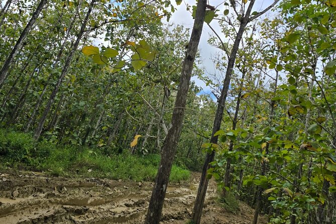 Trinidad's Mud bath - From the Volcano to a Private Beach