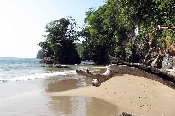 Trinidad True North Coast Excursion - Fort Abercromby adds military history by the sea