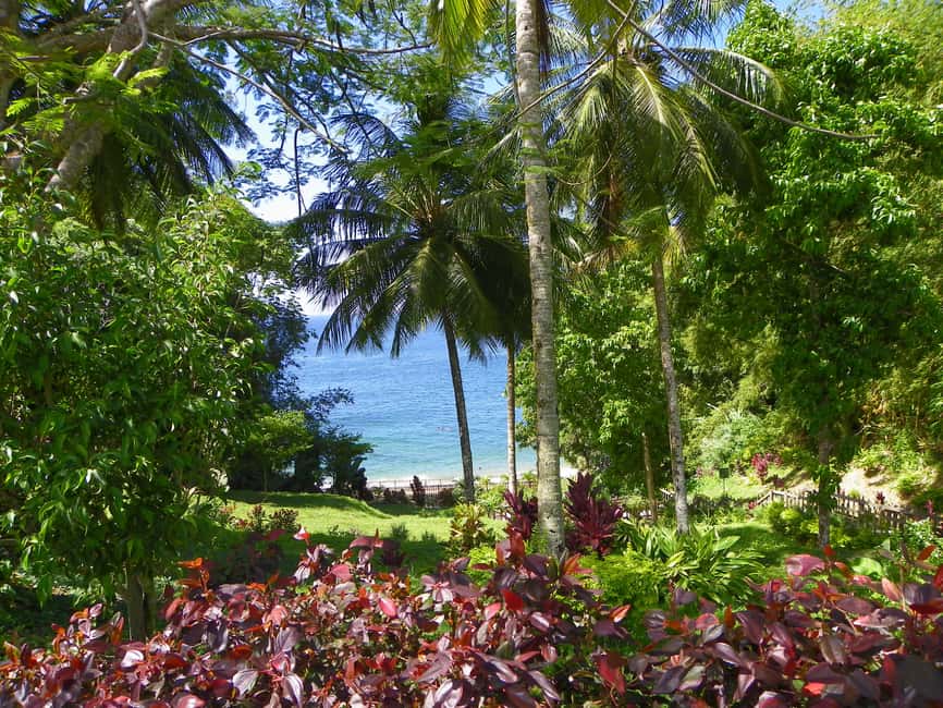 Trinidad: Zip Lining Experience & Fort George Panoramic View - The Northwest Coast drive sets the mood