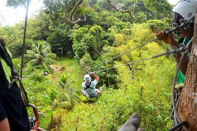 Trinidad Zipline Adventure - Key points at a glance