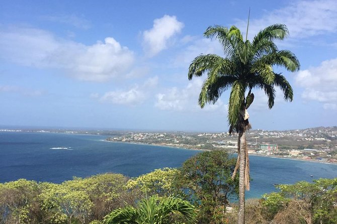VIP Inclusive Private Tour of Island (Lunch, Drinks + Snorkeling) - Four details that shape the day
