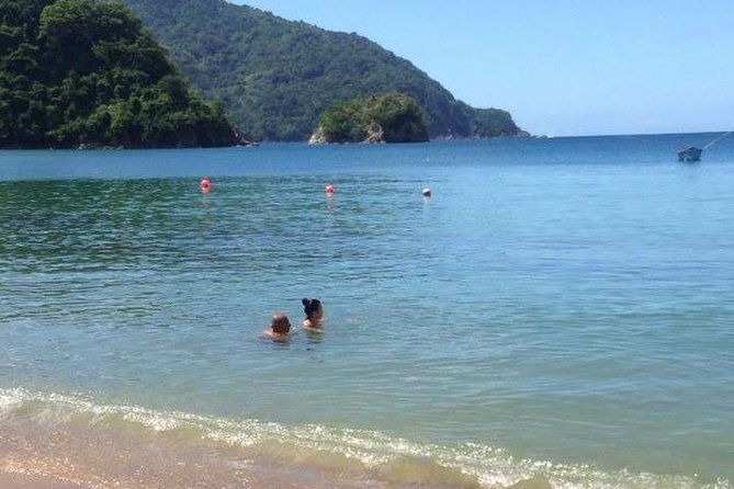 VIP Inclusive Private Tour of Island (Lunch, Drinks + Snorkeling) - Why this Tobago tour works well