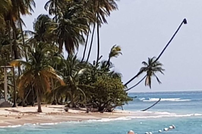 VIP Inclusive Private Tour of Island (Lunch, Drinks + Snorkeling) - Four hours around Pirate Bay and Charlotteville