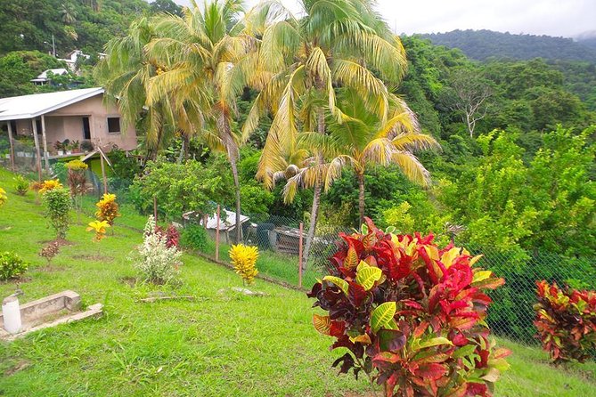 VIP Inclusive Private Tour of Island (Lunch, Drinks + Snorkeling) - Englishman’s Bay adds one more coastal stop