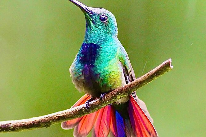 Yerette Home of the Hummingbird - What the transportation adds to the value